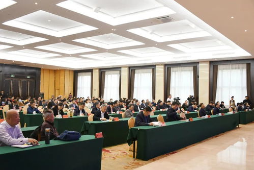 二月二龙抬头 龙城濮阳展新颜——濮阳市龙文化艺术交流活动精彩纷呈